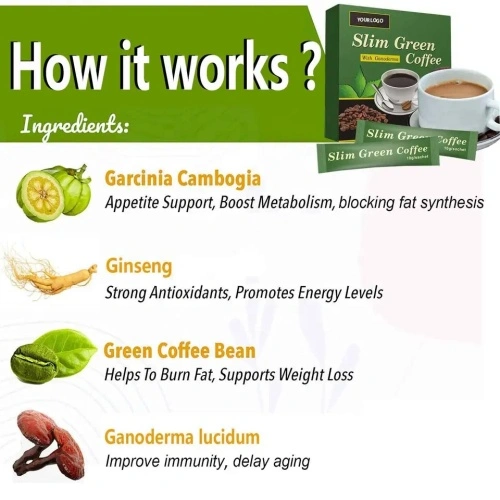 46051c335323139f7423f781d7.jpg@4e_500w_500h.src_95Q Café vert mince Wins Town au Ganoderma