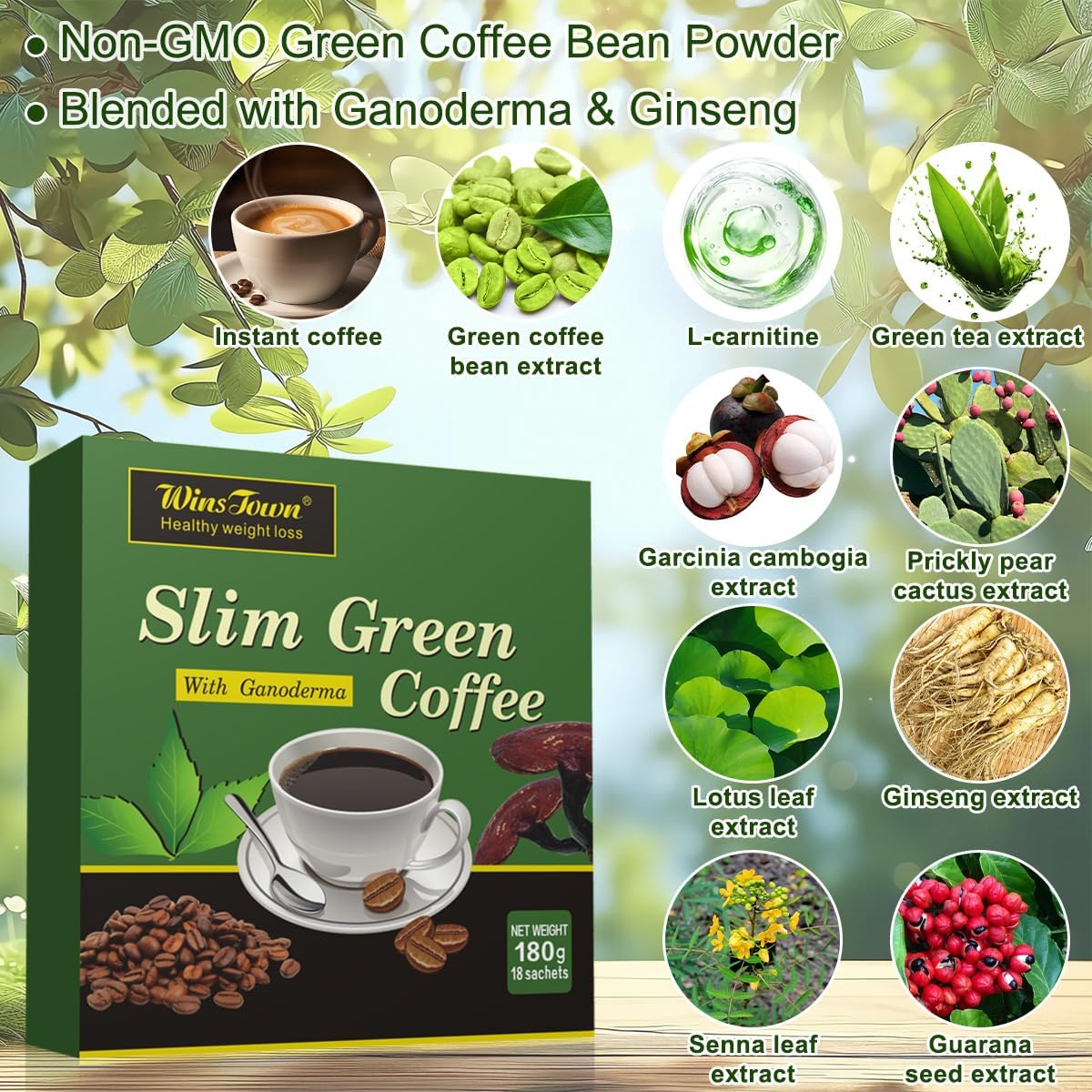 71UsQyED9XL._AC_SL1200_ Café vert mince Wins Town au Ganoderma