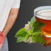 Thé d'herbes (Prostate Saine)